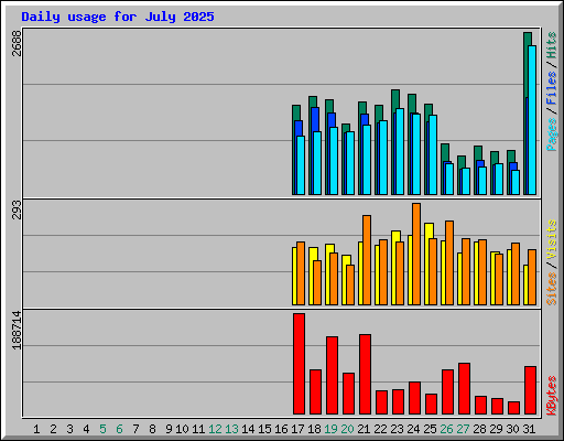 Daily usage for July 2025
