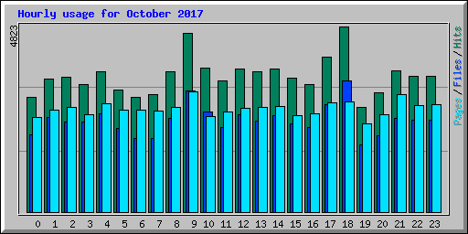 Hourly usage for October 2017