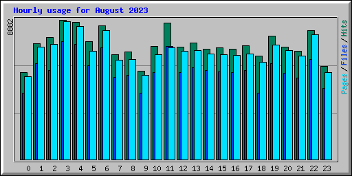 Hourly usage for August 2023