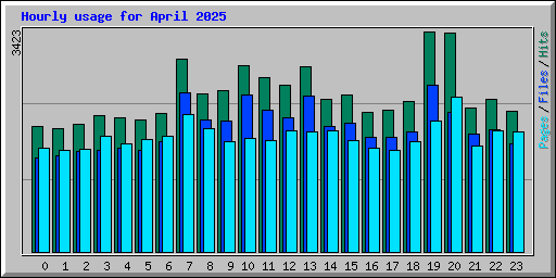 Hourly usage for April 2025