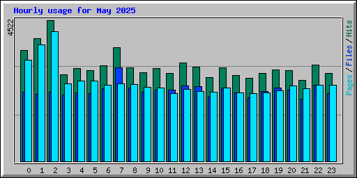 Hourly usage for May 2025