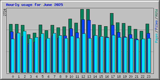 Hourly usage for June 2025