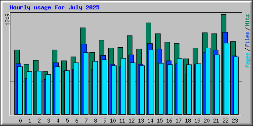 Hourly usage for July 2025