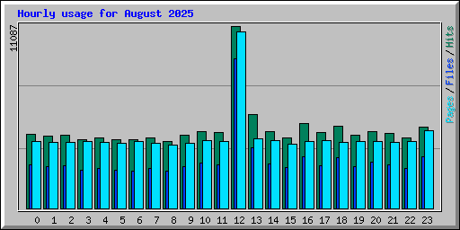Hourly usage for August 2025