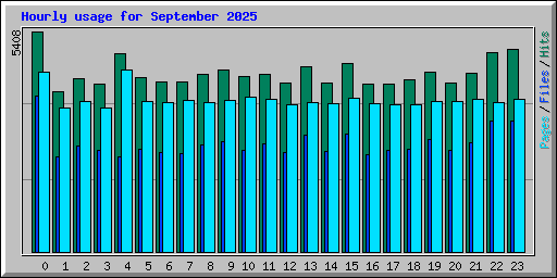 Hourly usage for September 2025