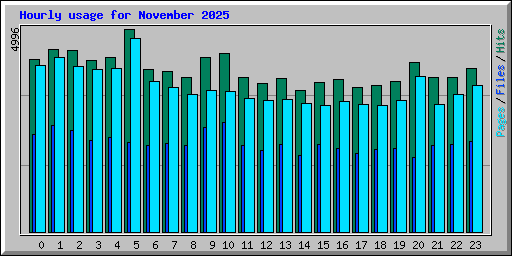 Hourly usage for November 2025