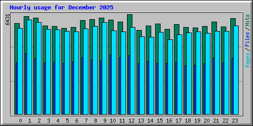 Hourly usage for December 2025