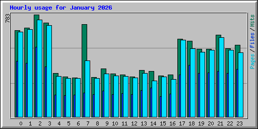 Hourly usage for January 2026