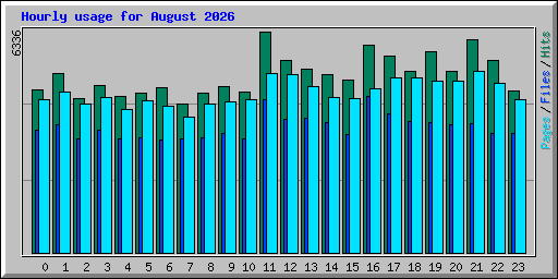Hourly usage for August 2026
